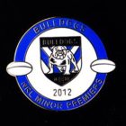 2012 Canterbury Bankstown Bulldogs NRL Minor Premiers Pin Badge bb