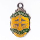 1985-86 Bankstown Football Club Member Badge