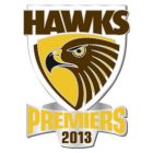 2013 Hawthorn Hawks AFL Premiers Pin Badge