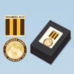 2013 Hawthorn Hawks AFL Premiers Medal and Ribbon Pin Badge - Image 2