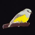 2011 BirdLife WA Western Yellow Robin Pin Badge