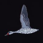 2013 BirdLife Frecked Duck Pin Badge