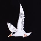 2013 BirdLife Fairy Tern Pin Badge