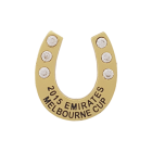 2015 Melbourne Cup Horseshoe Pin Badge