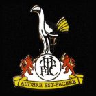 2015 Tottenham Hotspur EPL Pin Badge
