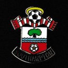 2015 Southhampton EPL Pin Badge