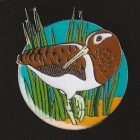 2016 BirdLife Painted Snipe Pin Badge