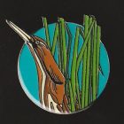 2016 BirdLife Bittern Pin Badge
