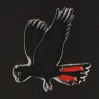 2016 BirdLife WA Red-Tailed Black-Cockatoo