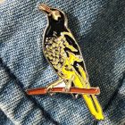 2016 BirdLife Regent Honeyeater Pin Badge