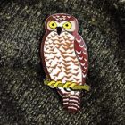 2017 BirdLife Powerful Owl Pin Badge