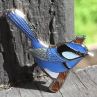 2017 BirdLife WA Splendid Fairy-Wren Pin Badge