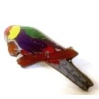 2018 BirdLife WA Red Capped Parrot Pin Badge