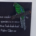2018 BirdLife Norfolk Island Green Parrot