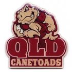 2005 QLD Canetoads State of Origin EAB Pin Badge