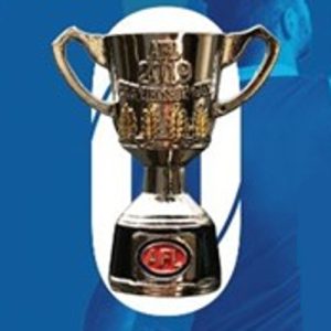 2019 AFL Premiership Cup Pin Badge