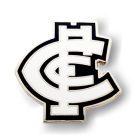 2020 Carlton Blues AFL Logo Trofe Pin Badge