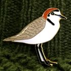 2016 BirdLife Red-Capped Plover Pin Badge