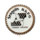 1980s Gold Coast Seagulls RLFC Tweed Heads Stick Pin