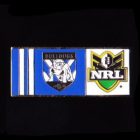 2010 Canterbury Bankstown Bulldogs NRL Away Pin Badge
