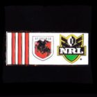 2010 St George Illawarra Dragons NRL Home Pin Badge