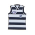 2011 Geelong Cats AFL Jersey Trofe Pin Badge