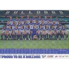 2007 Canterbury Bankstown Bulldogs NRL Team Poster
